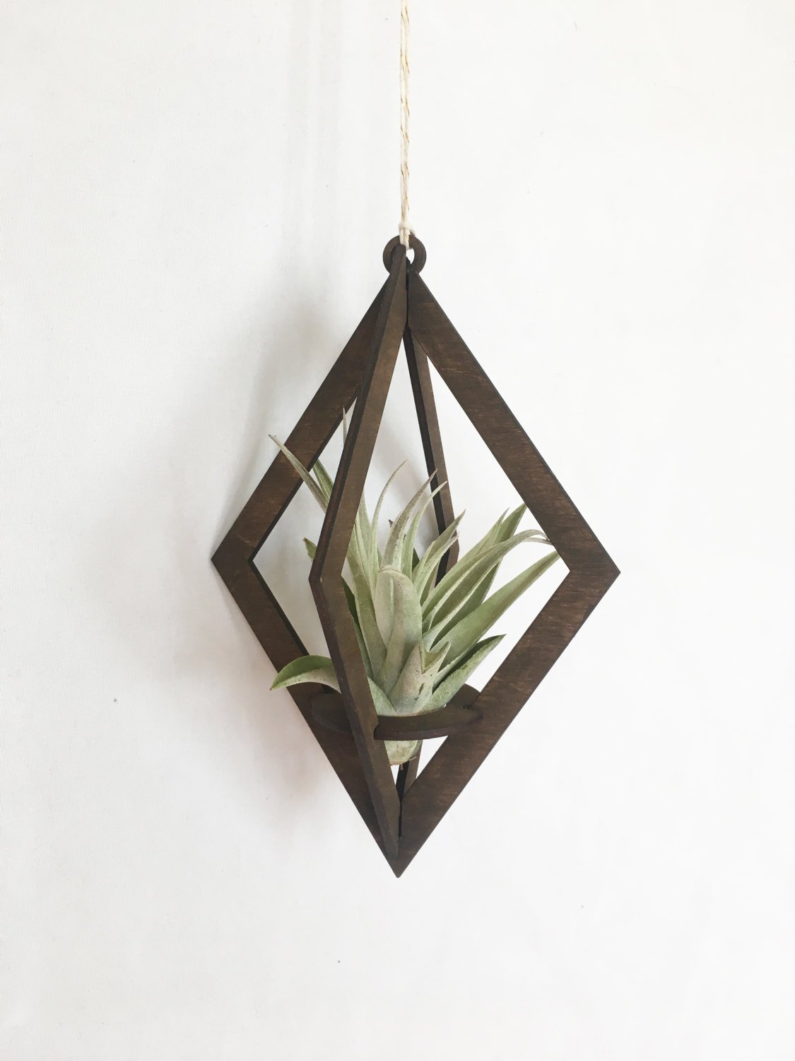 Savvie Studio - Air Plant Hanger >> Diamond >> Walnut